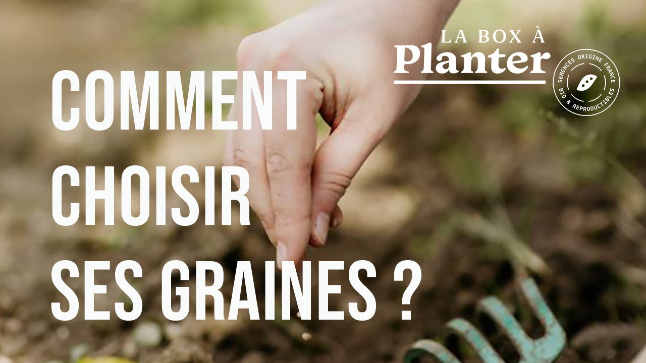 TUTO : Comment choisir ses graines ? 3 astuces indispensables !