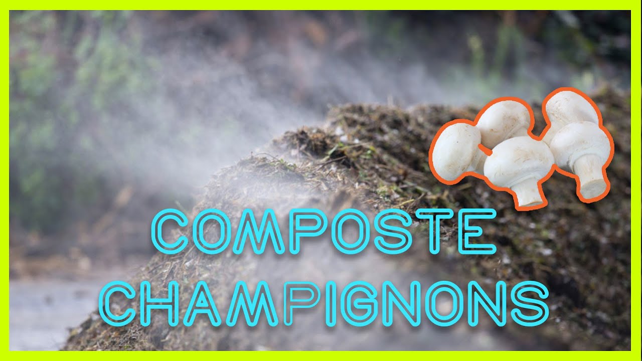 🍄  Initiation aux SUBSTRATS COMPOSTÉS [ 3 Étapes pour le fabriquer ]