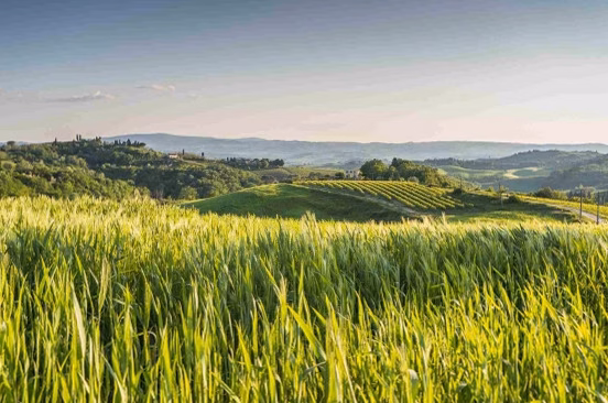 Principes et avantages de l&rsquo;agriculture biologique : comprendre son impact et ses bénéfices