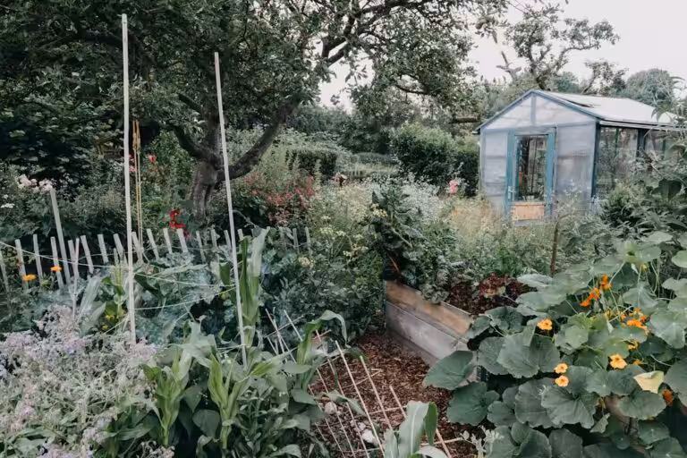 Où trouver et comment choisir des semences bio certifiées pour un jardin sain