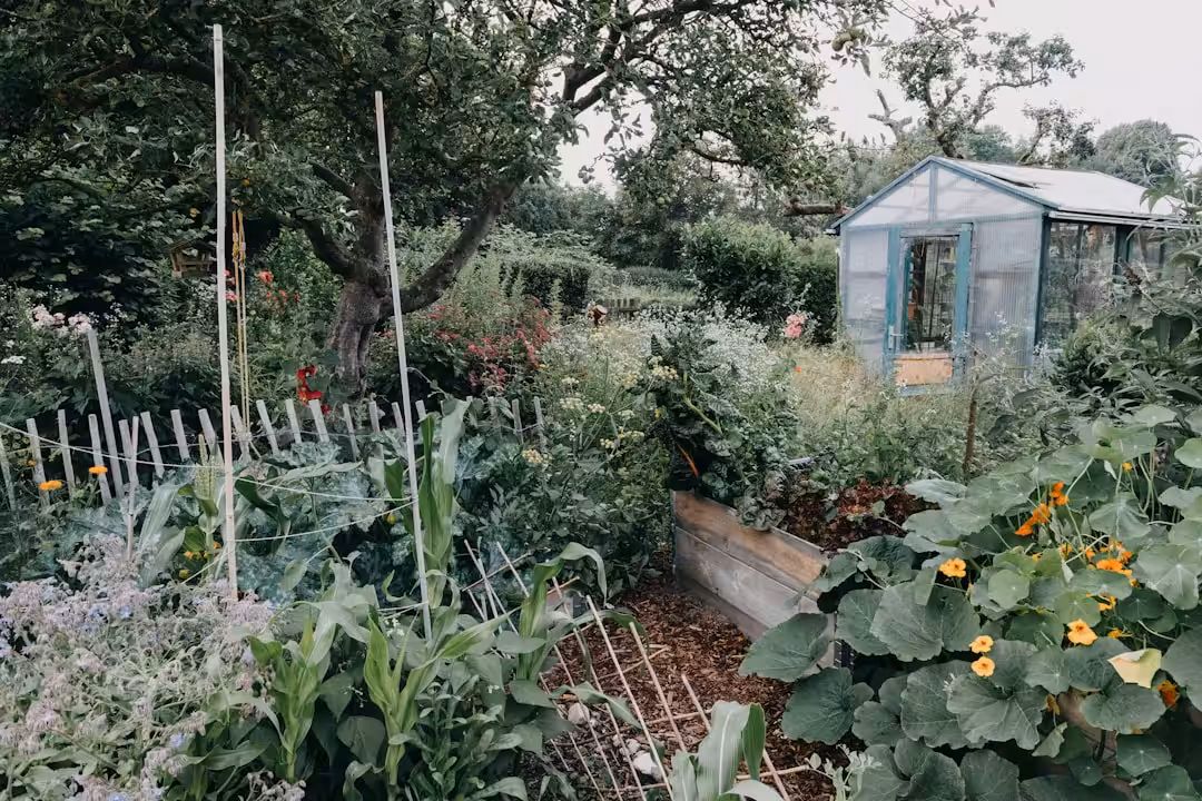 Où trouver et comment choisir des semences bio certifiées pour un jardin sain
